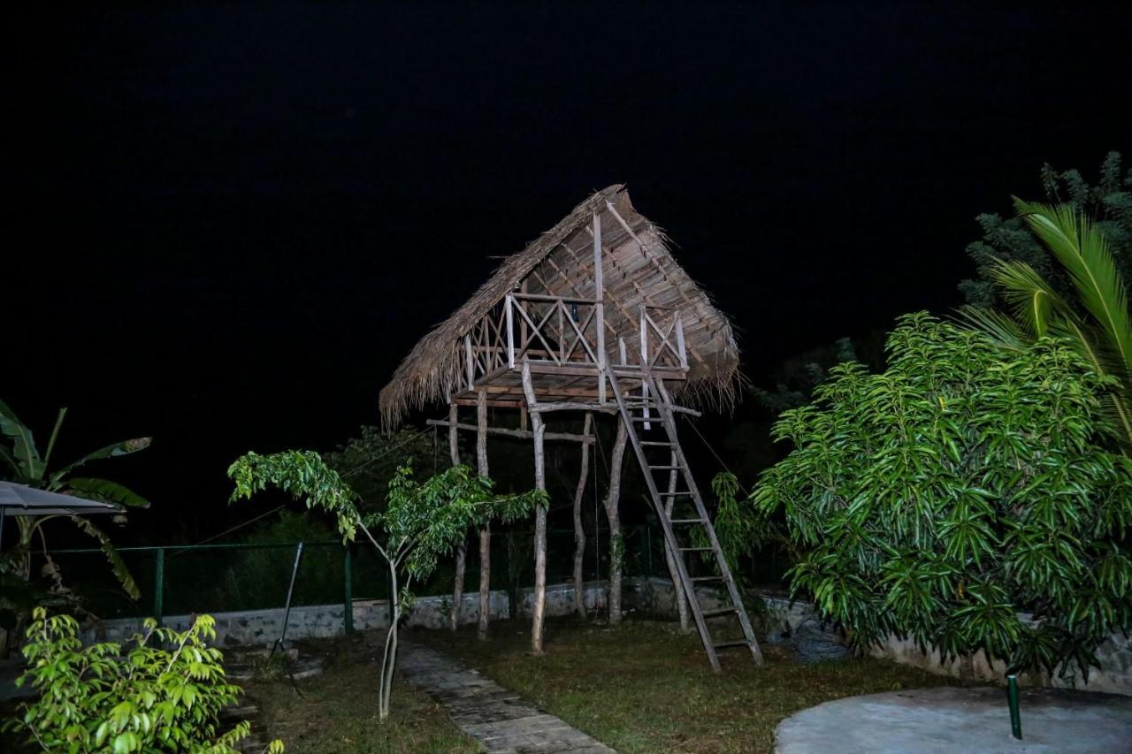 D Family Resort Анурадхапура Экстерьер фото